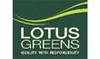 Lotus Greens