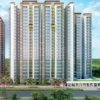Coco County,Sector 10,Greater Noida
