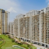 M3M Polo Suites