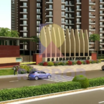 RG Luxury Homes