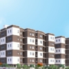 Reliance Sunshine