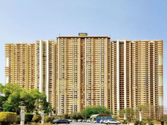 Saya Gold Avenue