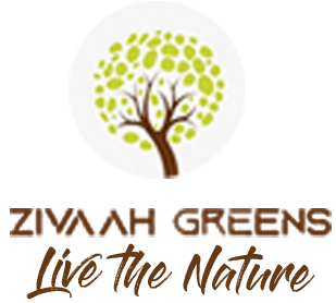 Zivaah Greens Private Limited