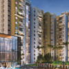 Purva Zenium