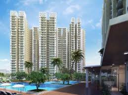 Keltech Kumar Imperial Greens