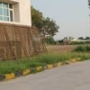 245 Sq. Meter Residential Plot for Sale in Sector 43, Noida