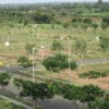 216 sq. meter plot for sale in sector 145 noida