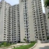 239 sqyard residential plot for sale in JP KENSINGTON PARK sector 131 noida.