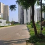Kensington Park 209 sq.yard plot for sale in JP KENSINGTON PARK	 sector 135 Noida